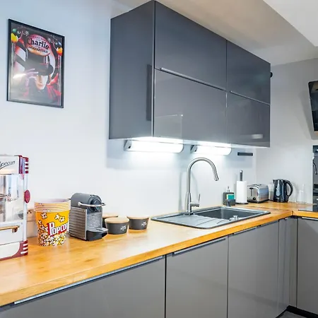 Apartmán Duplex Cinema Proche De Strasbourg - Ecran Geant & Home Cinema Schiltigheim