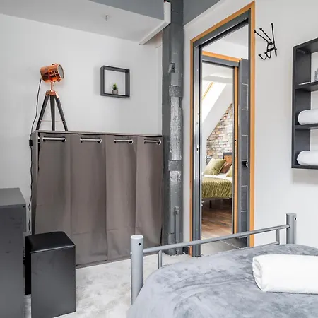 Duplex Cinema Proche De Strasbourg - Ecran Geant & Cinema 公寓 希尔蒂盖姆